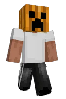 Minecraft-Avatar von bbnr: ganzer Körper