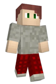 bboddy Minecraft avatar full body