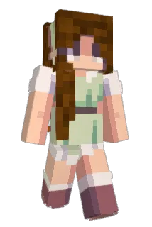 bbrbbr Minecraft avatar full body
