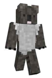 bbung123 Minecraft avatar full body