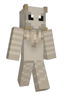 bburkles Minecraft avatar full body