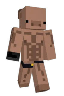 bbwiki Minecraft avatar full body
