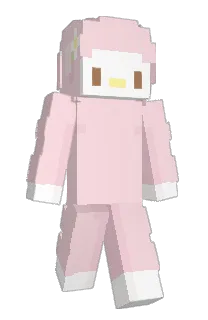 Front of zyay's skin
