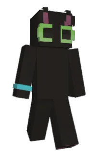 Front of hateno's skin