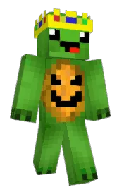 Skin preview
