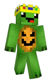 Tetle9's Minecraft skin
