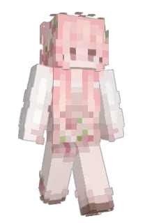 Front of BABYBUN_'s skin