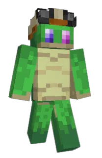Front of Tortls's skin