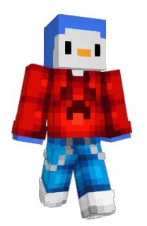 Front of Anekan's skin