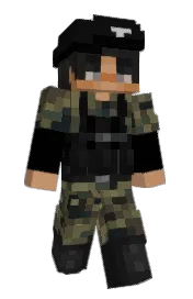 Skin preview