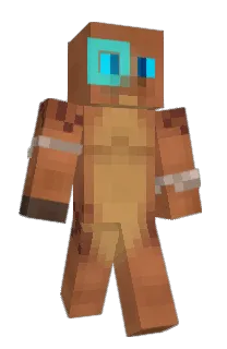 Front of Archenarie's skin