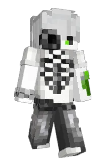 bc6615 Minecraft avatar full body