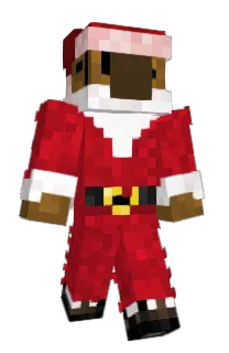 Front of Capitt's skin