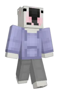 Front of Minecraft skin