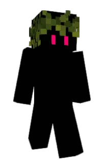Front of Voice6's skin
