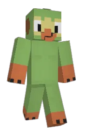 Skin preview