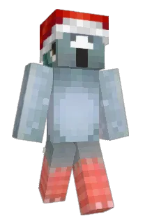 Front of Zonte's skin