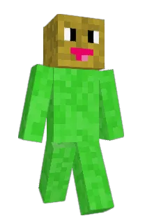 Front of KawaiiKake's skin