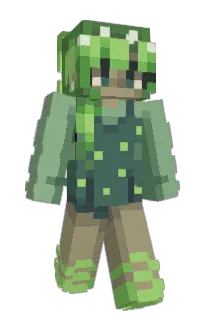 Front of Owlzinho's skin
