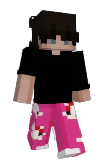 NiceWhale's Minecraft skin