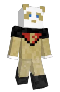 Front of Minecraft skin