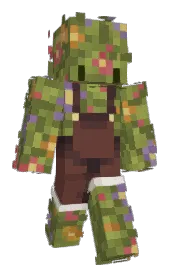 Skin preview