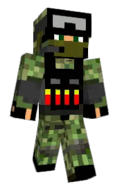 Skin preview