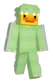 Skin preview