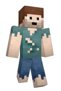 bcarroll8607 Minecraft avatar full body