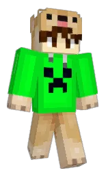 Minecraft skin — Classic model