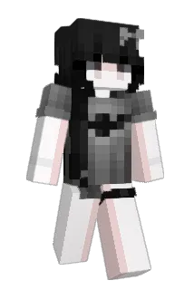 bcba Minecraft avatar full body
