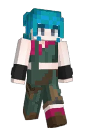 Skin preview
