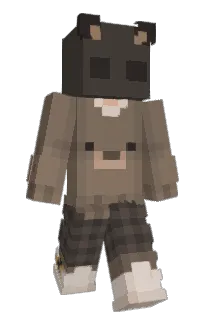 Front of teroteroo's skin