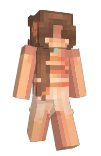 Front of 73iq's skin