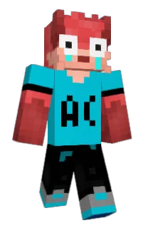 Front of okTosty's skin