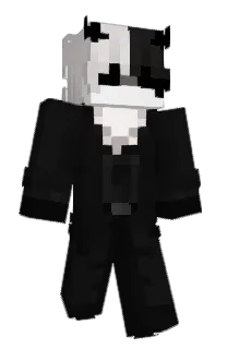 Front of Peakxx's skin