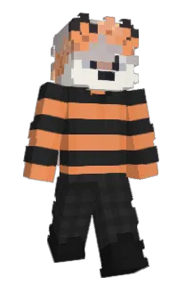 Front of Decidability's skin