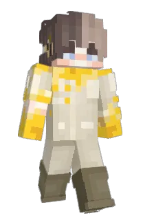 Front of CopperBee's skin