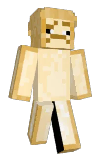 Front of Minecraft skin