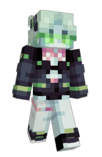 Front of conemex's skin