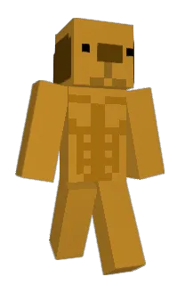 Front of S4NT1N000's skin