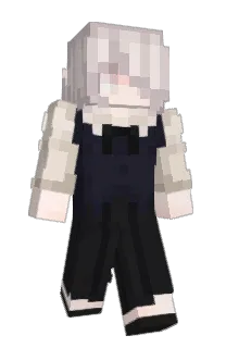 Front of ommetas's skin
