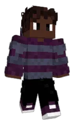 Minecraft skin — Classic model