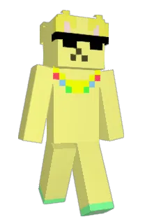 Front of garruya's skin