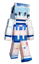 Minecraft skin — Classic model