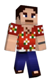 Skin preview