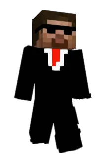 bd29 Minecraft avatar full body