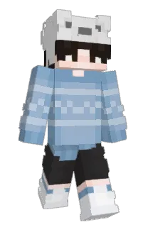 Front of _sardar's skin