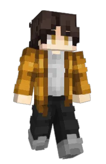 Front of Polaris_N's skin