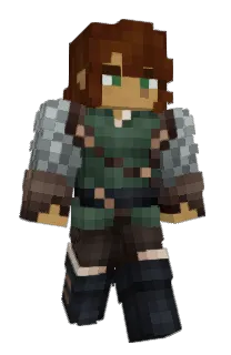 Front of 8WT's skin